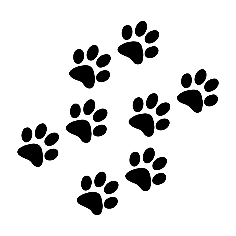 1pc Cat Paw Print Car Sticker  - Motorcycle Gear Auto reseña y precio